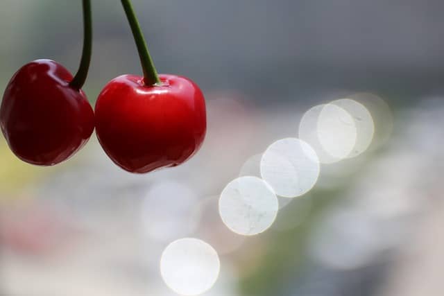 기부금 공제 잘못 신고하면 큰일납니다. 오류&middot;가산세 사례 총정리!