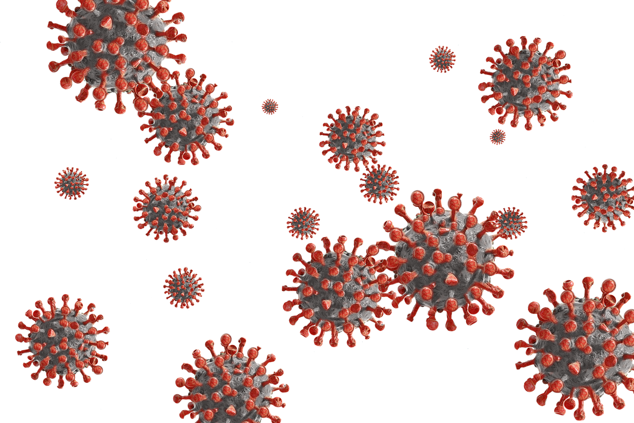 치사율 70% 니파바이러스 감염증 증상 및 예방법 총정리
