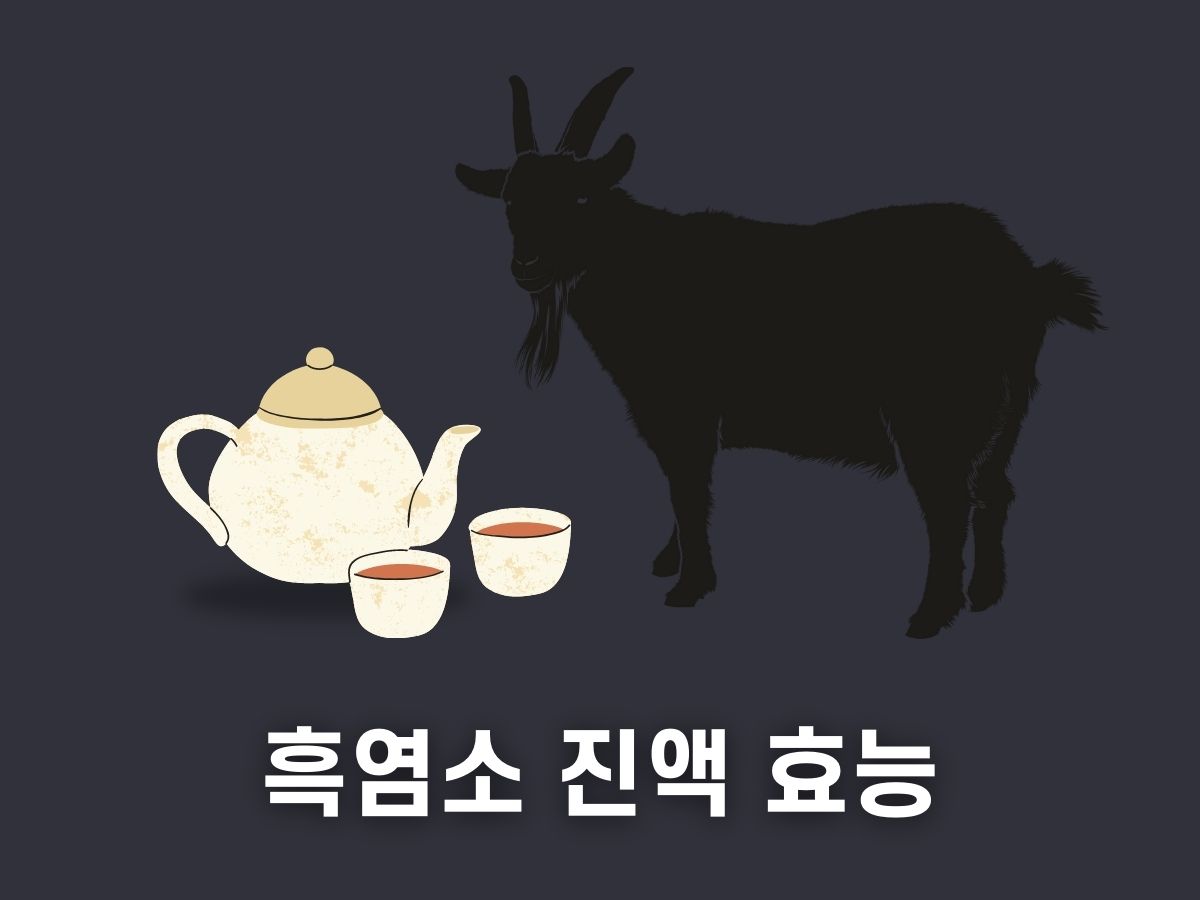 흑염소 진액 효능