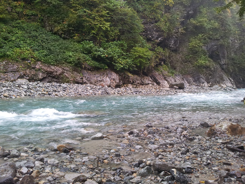 제천, 계곡의 여름 사진