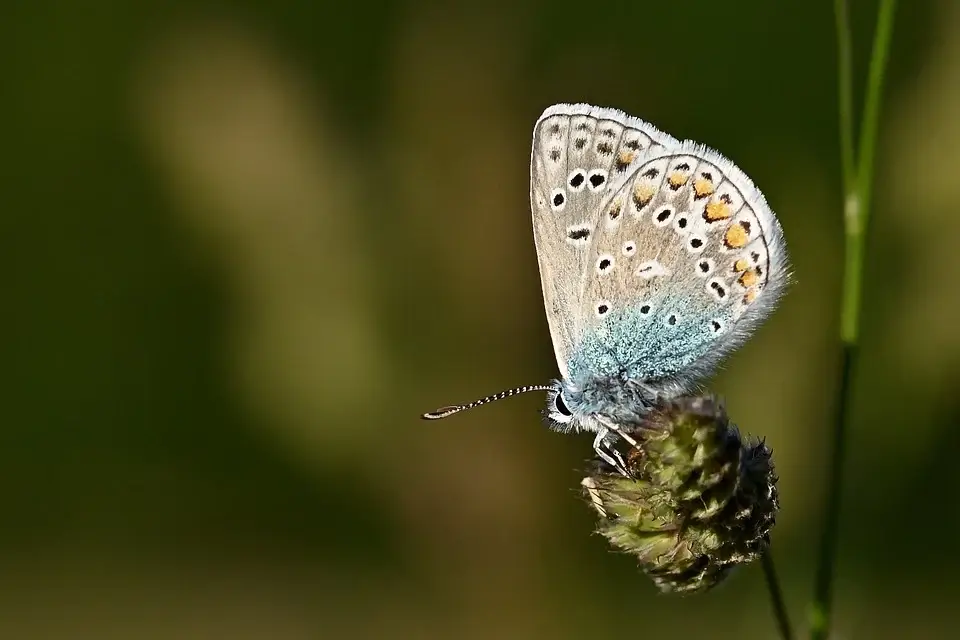 국제통일상품분류제도 무역계약서에 코드 확정하기