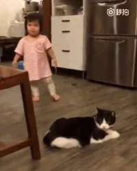 고양이 움짤 내가 안그랬어
