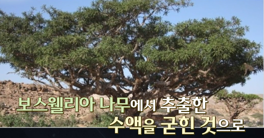 보스웰리아