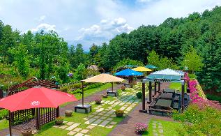 청남대 봄꽃축제 영춘제