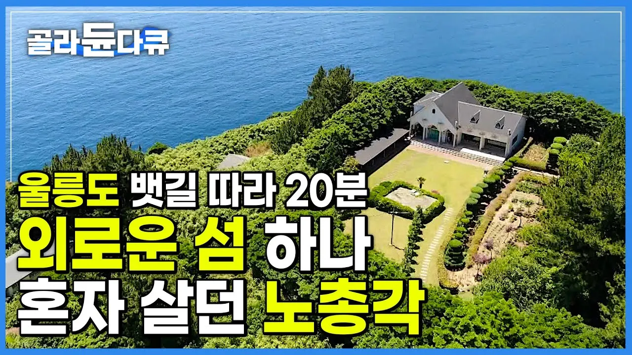 울릉도 독도 실시간 CCTV 라이브캠 날씨 교통정보 완벽 총정리, 2025 최신판 (여행 필수 정보)