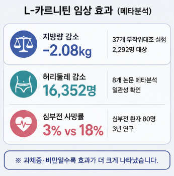 L카르니틴-효능-후기-부작용-복용시간-효과
