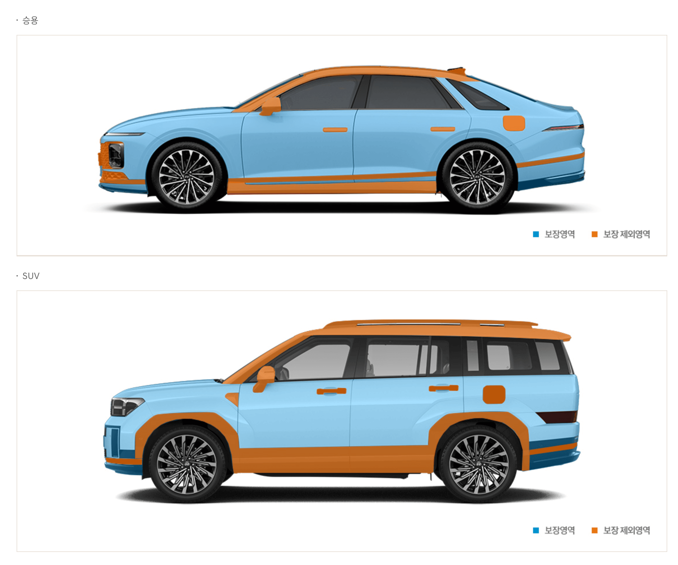 보장 영역 제외 영역