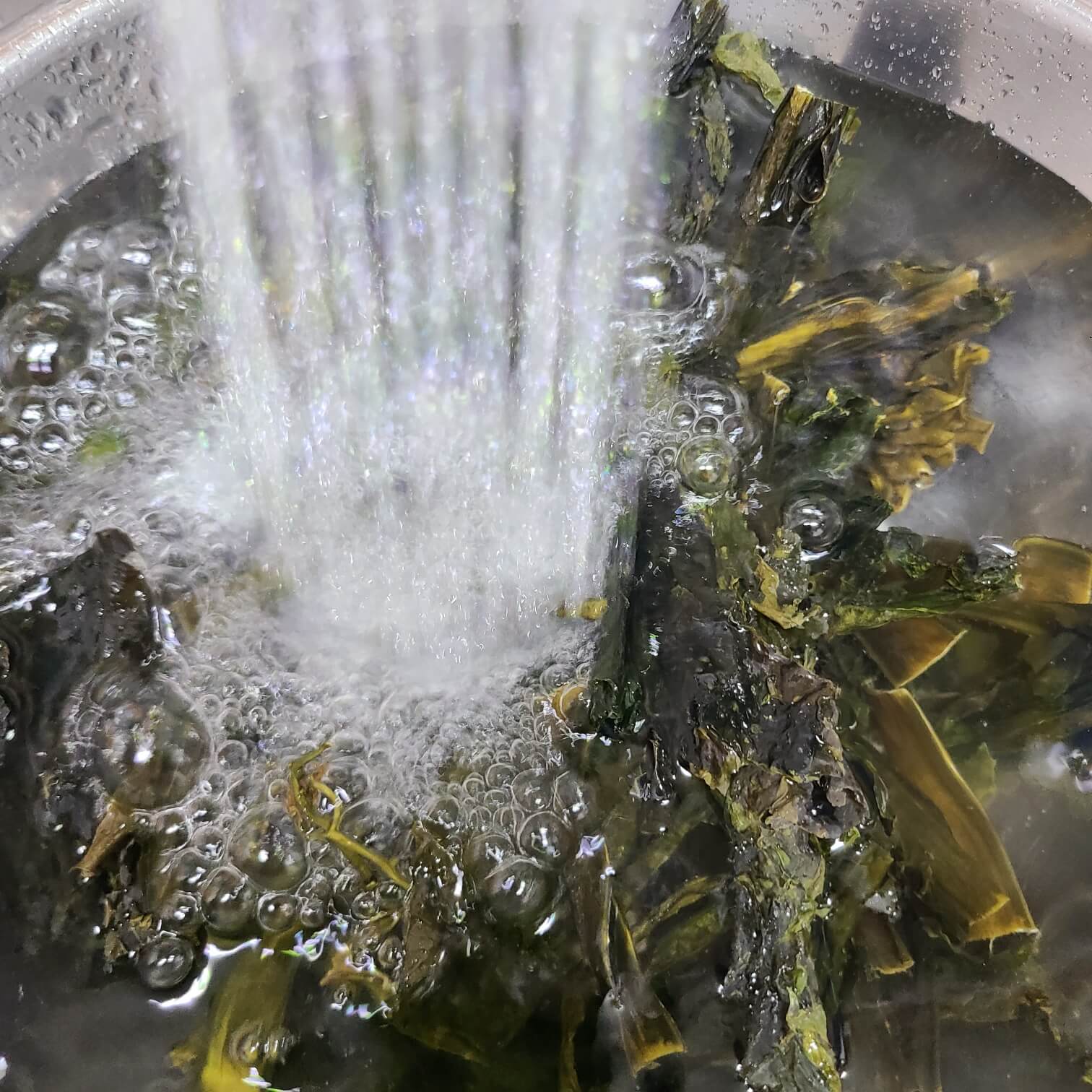 미역국 미역 불리기