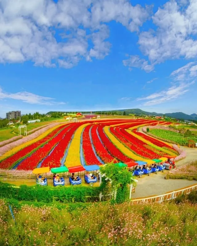 철원 고석정 꽃축제 살펴보기 3