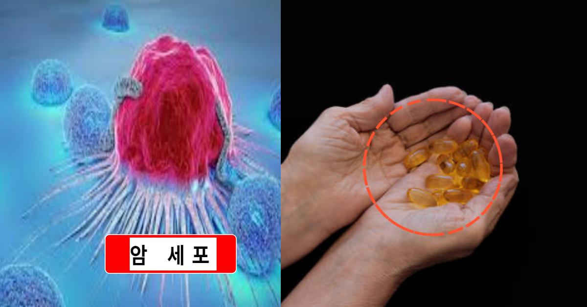 "이젠 암 걱정하지 마세요". '모든 종류의 암 종양 죽이는 약' 개발 소식이 전해지자, 모두 놀랐다.