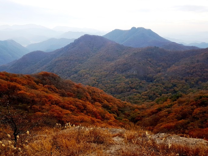 내장산 단풍시기