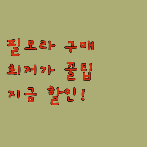 필모라 합리적 가격으로 시작하는 정품..