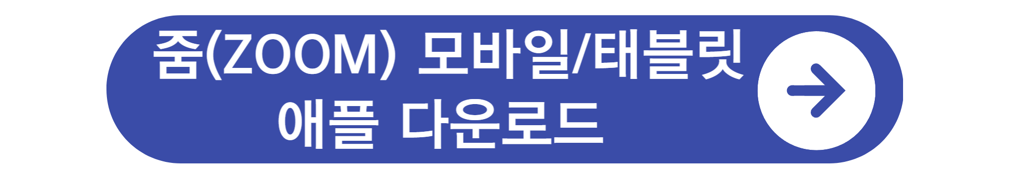 ZOOM PC 다운로드 및 사용법