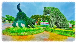 코리아플라워파크