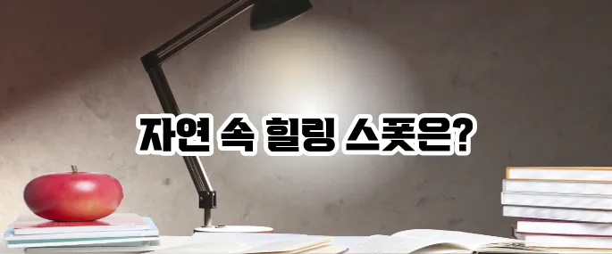 서천 가볼만한곳 베스트10 바다와 자연 즐기기