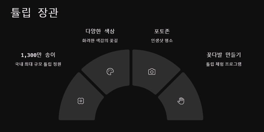 신안 임자도 튤립축제 기간 주차 꿀팁 총정리