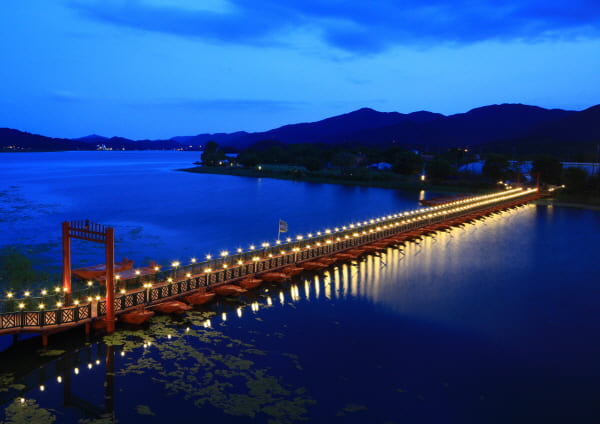 2024 세미원 연꽃축제