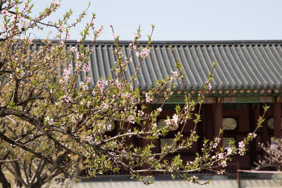 2025 덕수궁 &#39;밤의 석조전&#39; 티켓 예매(추첨제 로 진행)