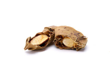 작두콩차 효능은 많이 있습니다. 특히 비염에 최고이고 작두콩차는 환절기에 꼭 필요한 식품이지요