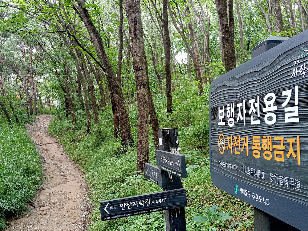 안산자락길과 영천시장 나혼자 걷기 챌린지