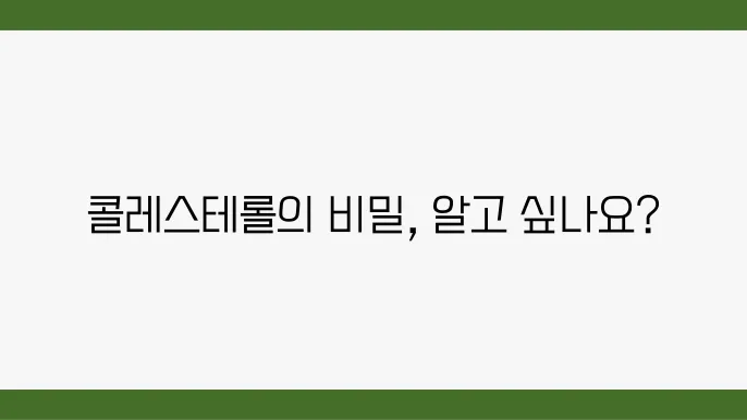 콜레스테롤 높은 이유 궁금하다면, 체크하세요!