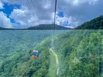 평창 가볼만한곳 베스트10 완벽 자연 여행_19