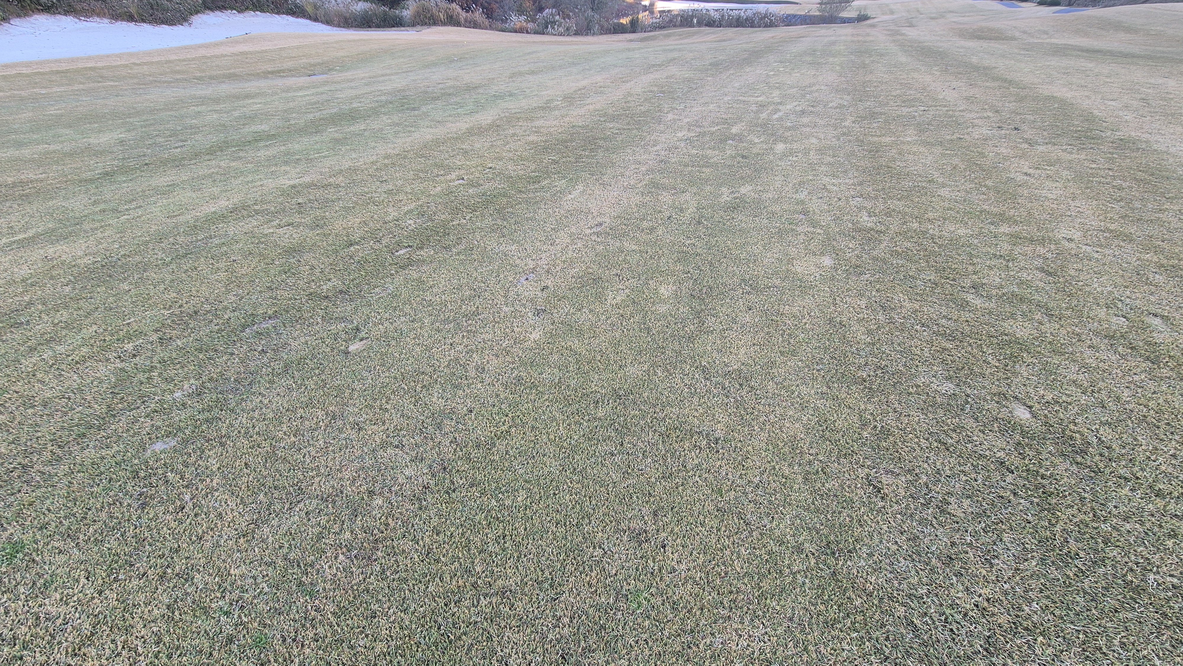 레이캐슬cc 코스 관리 상태