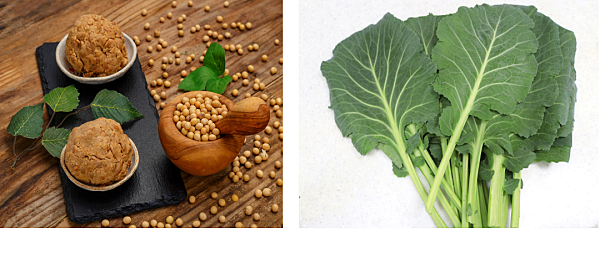 유방암에 좋은 음식2