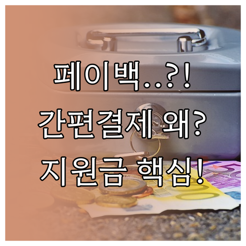 상생소비지원금 완벽 해설: 간편결제 ..