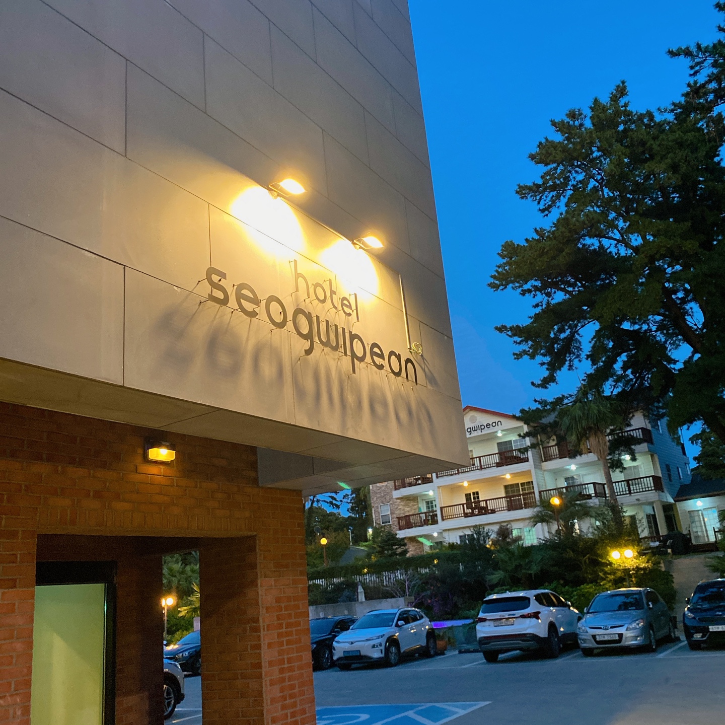 제주 쇠소깍 오션뷰 노을 맛집 보래드베이커스