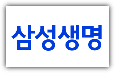 삼성생명 홈페이지