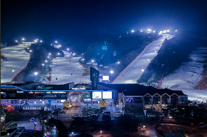 비발디 파크 스키장