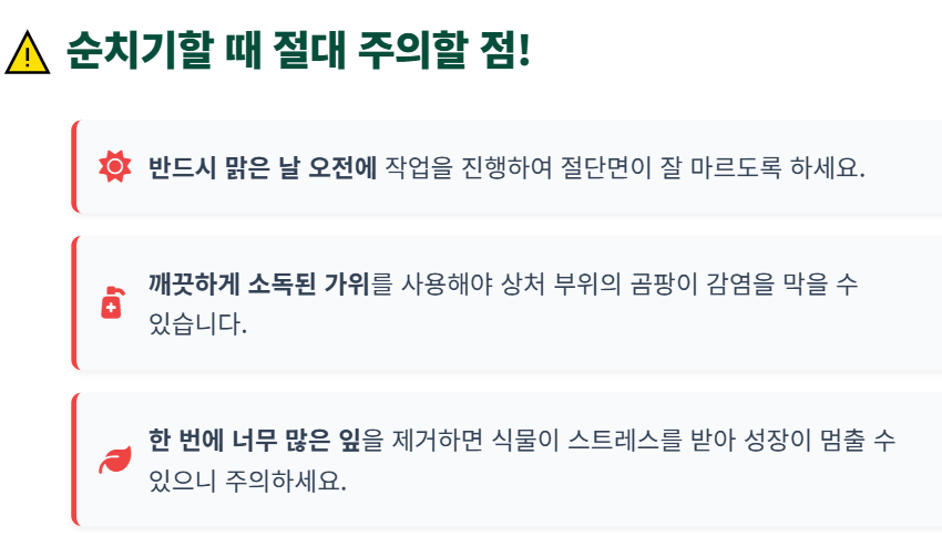수박 순치기 방법