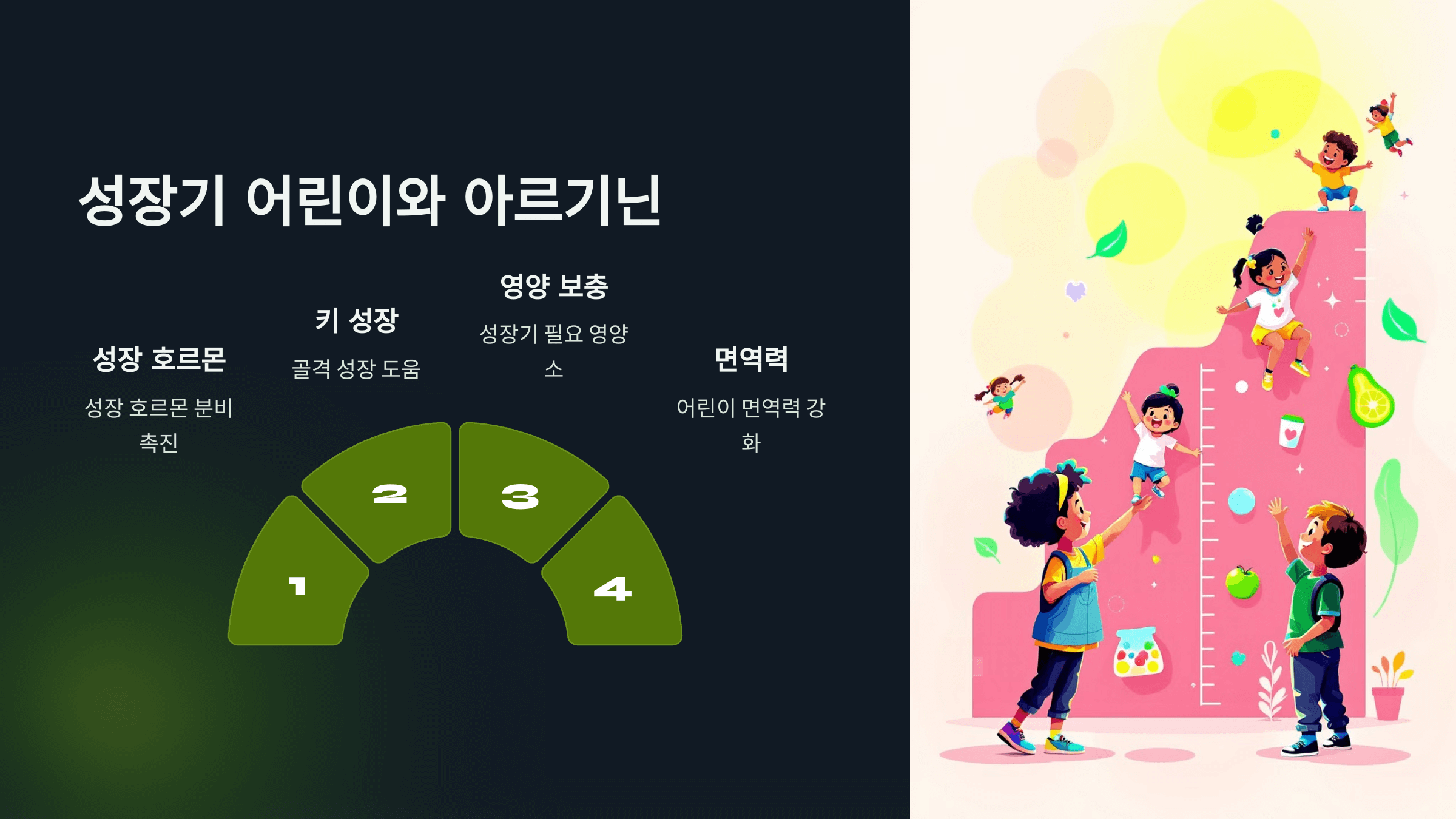 아르기닌과 관련된 사진입니다.