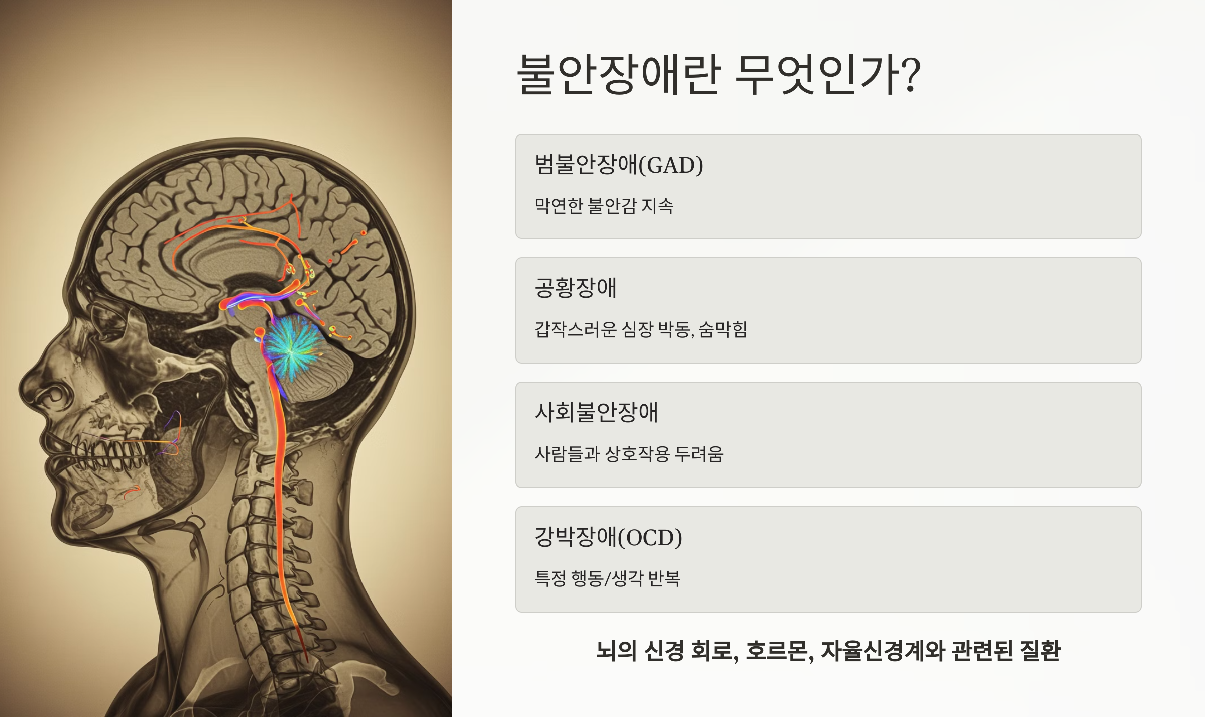 불안장애란 무엇인가 이미지