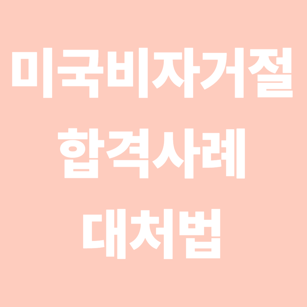미국비자거절 합격사례와 대처법