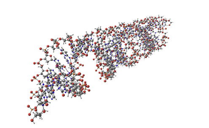 Peptidomics 기반 바이오의약품 분해산물 모니터링 전략