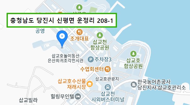 당진 드론쇼