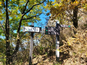 월악산 영봉 가는길