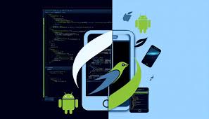 소프트웨어 업그레이드와 백롤