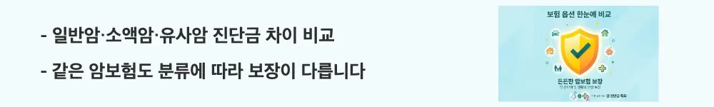 암보험 비교 및 필요성: "일반암·소액암·유사암 진단금 차이 비교 / 같은 암보험도 분류에 따라 보장이 다릅니다"라는 문구가 포함된 웹배너 이미지. 이 이미지는 암보험의 암 분류별 진단금 차이를 시각적으로 전달하며, 블로그의 암보험 보장 구조 비교와 관련된 내용을 설명함