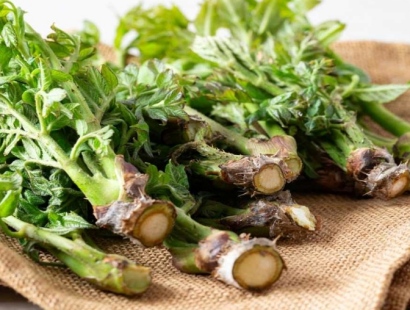 양평 용문산 산나물 축제