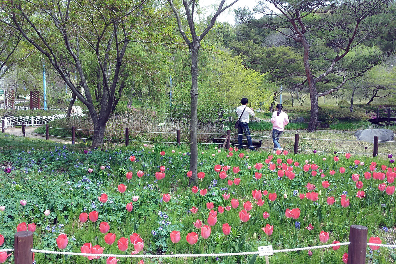 안면도수산시장 수산물 축제