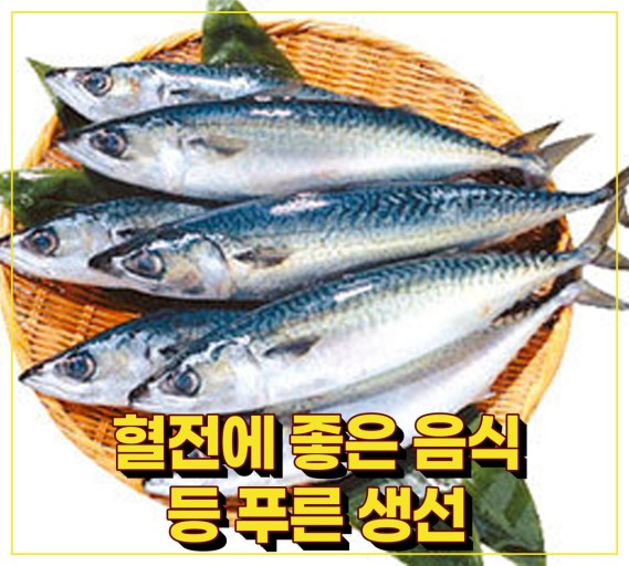 혈전에 좋은 음식&amp;#44; 등푸른생선