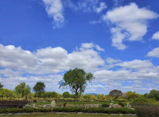 삼락생태공원-부산-가볼만한곳-추천