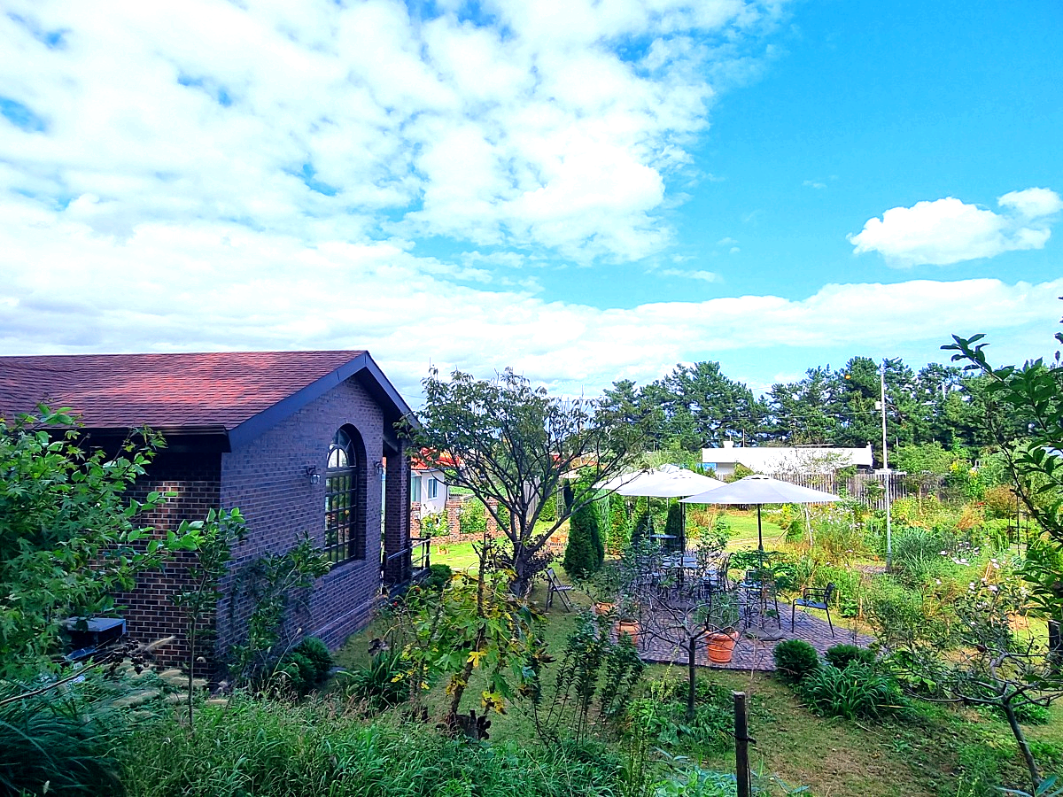 동해 묵호 여행 경비 아끼는 방법|현금처럼 쓰는 동해페이 혜택, 사용처 총정리