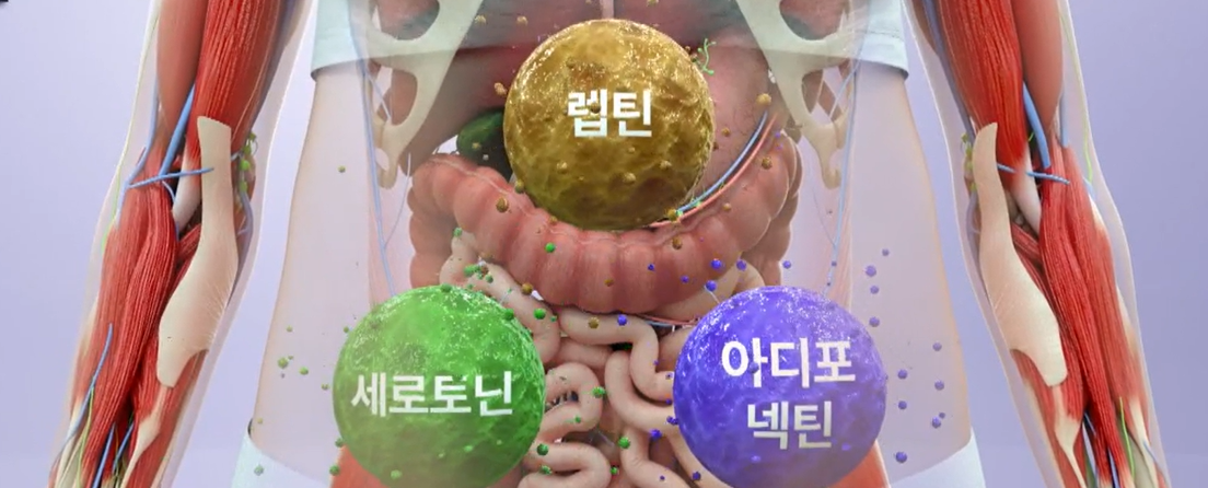 시서스 효능