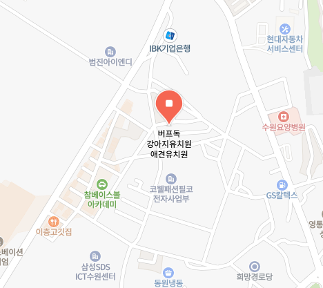  버프독 정보