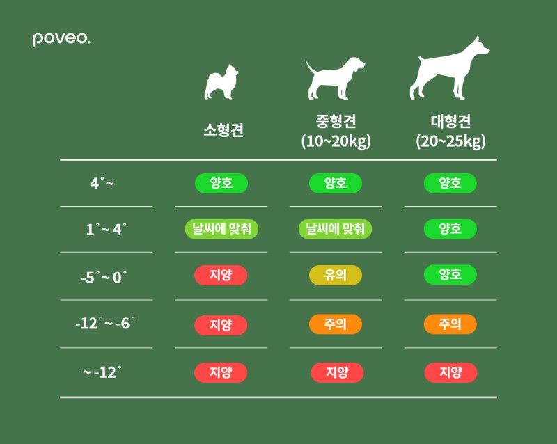 온도에 따른 강아지 산책