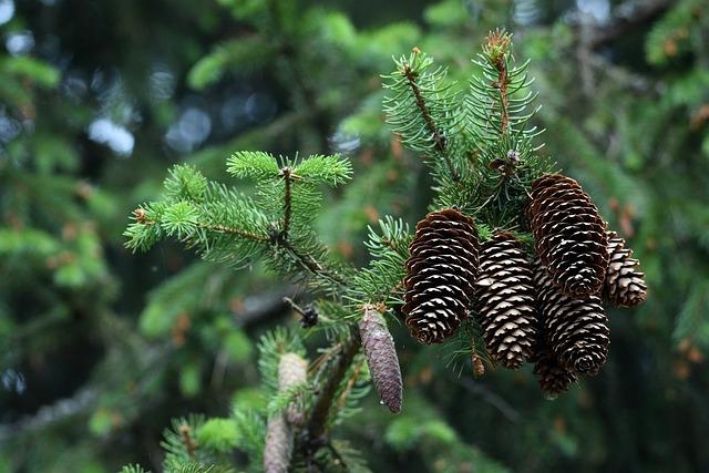 여름쪽파 심는시기